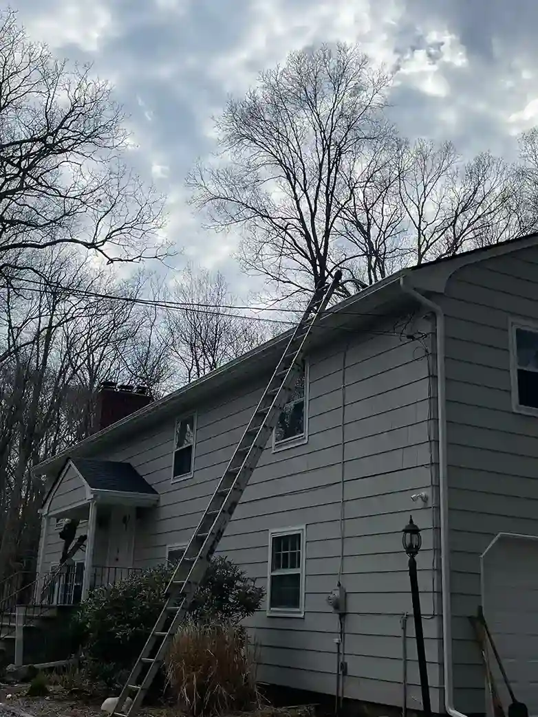 Extension ladder against gray-sided Connecticut house for gutter and roof work